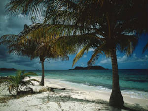 tropical_island.jpg